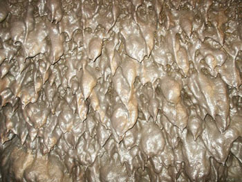 Wall of Stalactites