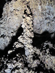 Rare Lava Stalagmite